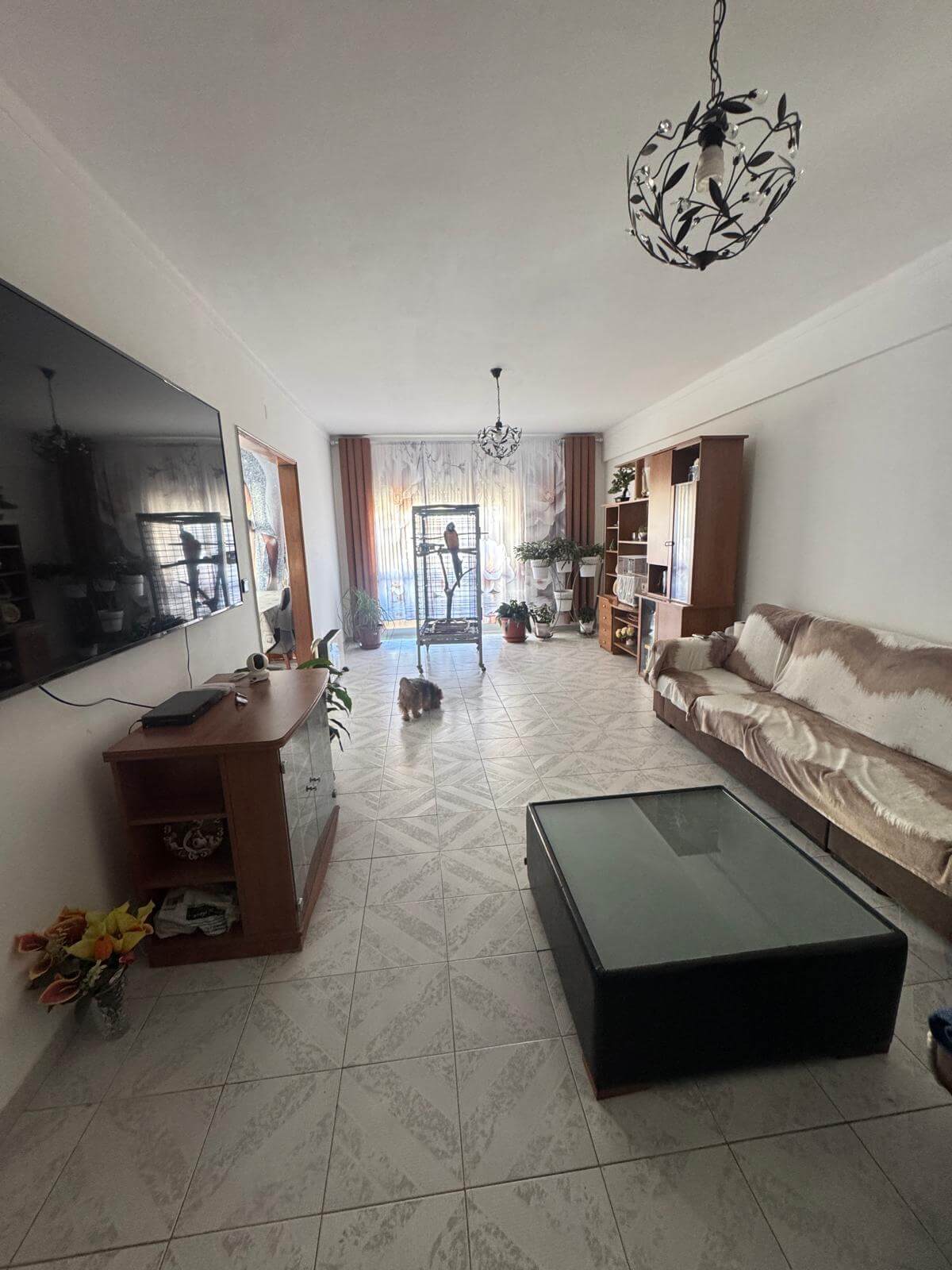 T3 Renovado - Grandes Areas